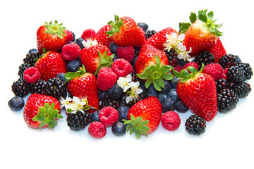 Berries on white Background