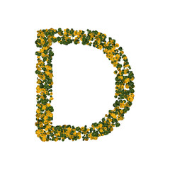 Letter D made from green and yellow bell peppers