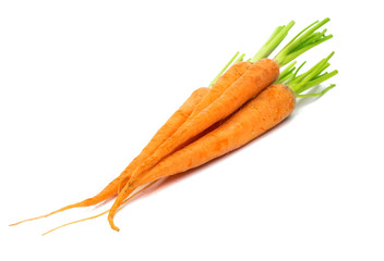 fresh carrots isolated