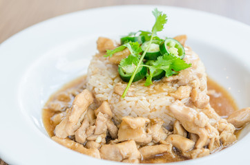 Chicken with brown sauce on rice