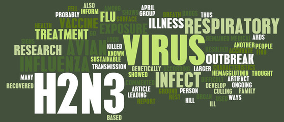 H2N3