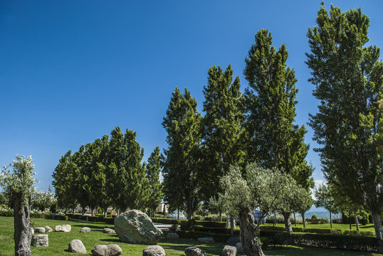 Viale dei pioppi