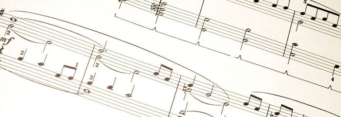 Fototapeta premium Musical Notes