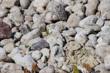 Pebble stones