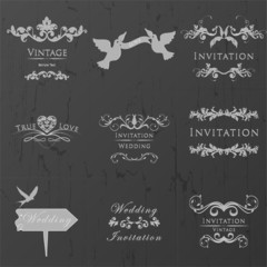 Wedding Vintage Invitation Collection.  Element for design.