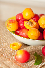cherry-plums and apricots