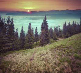 Foggy sunrise in the mountains.
