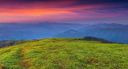 Obraz premium Colorful summer sunrise in the mountains