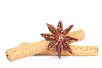 cinnamon sticks and anise isolated on a white