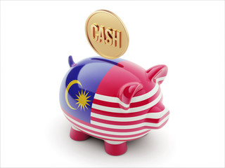 Malaysia  Piggy Concept