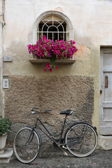Fototapeta na wymiar Bicycle and flowers