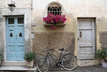Fototapeta na wymiar Bicycle and flowers