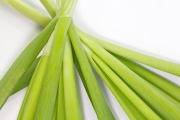 Fototapeta premium fresh green leek