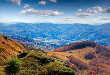 Beautiful summer landscape in the Carpathian mountains