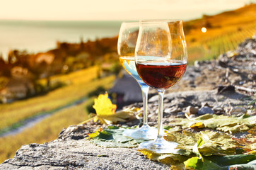 Two wineglasses on the terrace of vineyard in Lavaux, Switzerlan