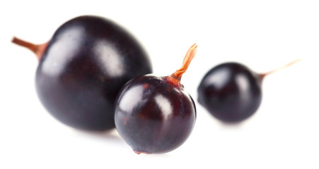 Black currants isolated on white