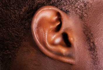 Black male ear - 66524183