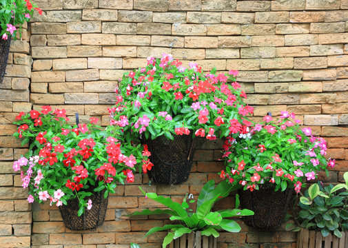 Wall flower pot