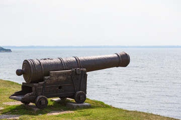 Cannon on a defensiv wall