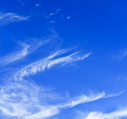 Naklejka na ściany i meble White clouds and blue sky