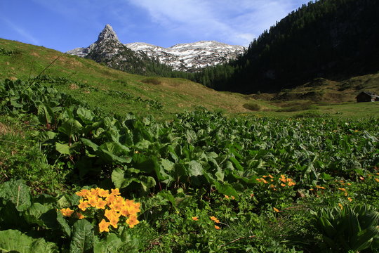 Schottmalhorn, Funtenseetauern, Funtensee