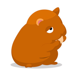 Illustration of cute hamster