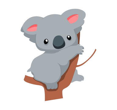 Illustration of cute koala