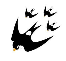 Illustration of cute swallow