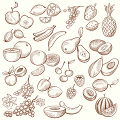 Set of Vintage Sketches Fruits in Freehand Style