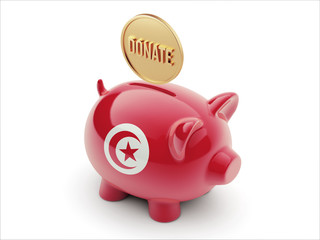 Tunisia Donate Concept Piggy Concept