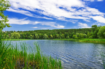 Obraz na płótnie Canvas Forest river at summer day