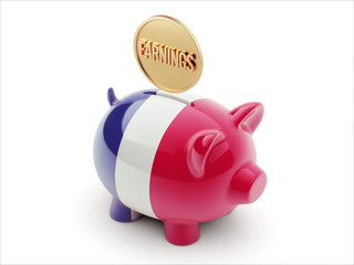 France Earnings Concept Piggy Concept