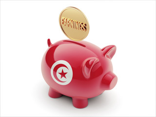 Tunisia Earnings Concept Piggy Concept