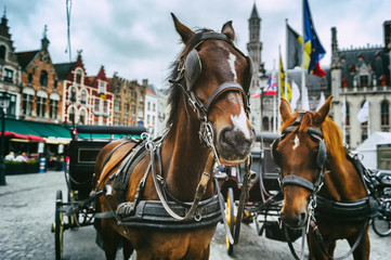 Naklejka na ściany i meble Horse-drawn carriages in Bruges, Belgium