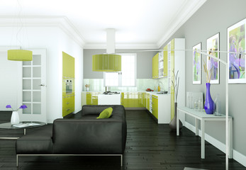 modern Apartment Interior Design