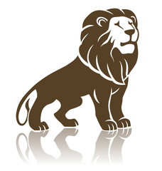 lion illustration