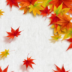 紅葉　もみじ　秋 フレーム