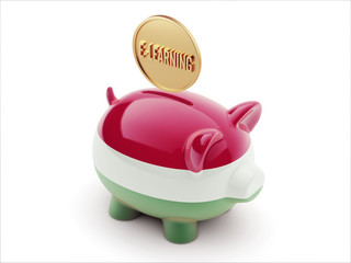 Hungary E-Learning Concept Piggy Concept