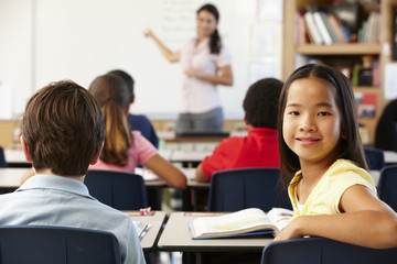 Teacher and schoolchildren in class