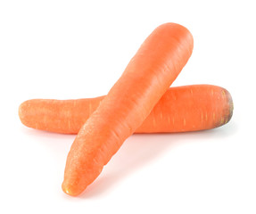 Carrot on white background