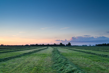 summer sunrise over fresh hay on pasture