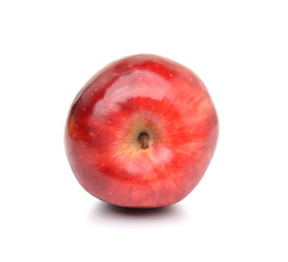 Red ripe apple on white