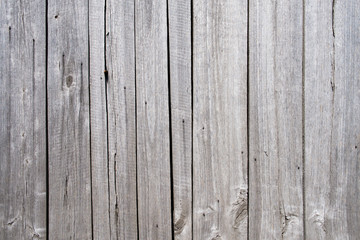 White wood background