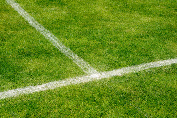 Fototapeta premium Fußballplatz mit Linienmarkierung