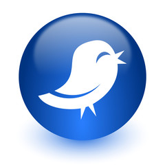 twitter computer icon on white background