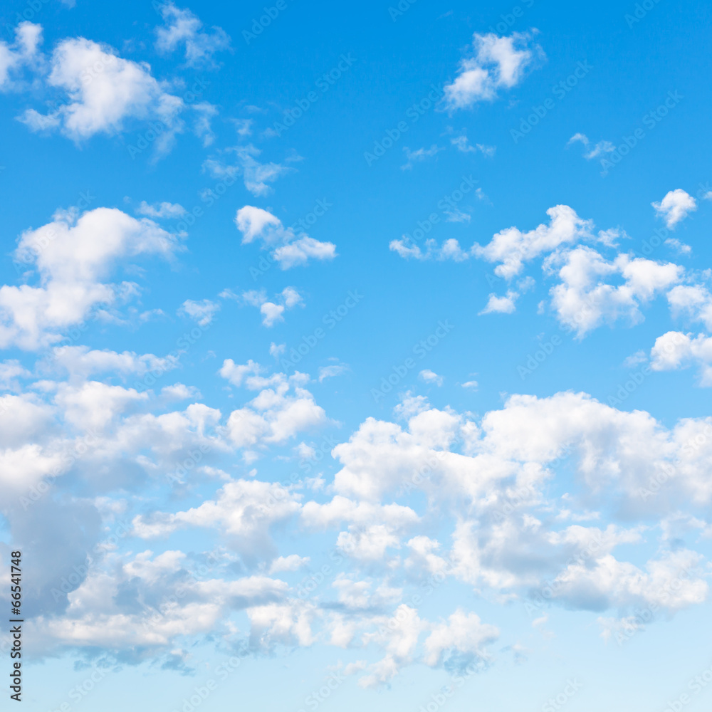 Canvas Prints many little fluffy clouds in blue sky