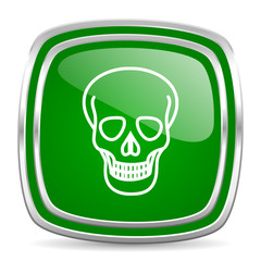 skull glossy computer icon on white background