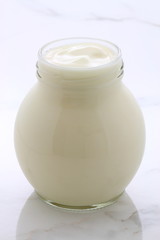 plain french style yogurt