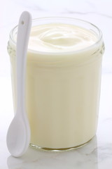 plain french style yogurt