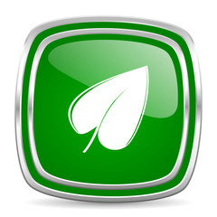 leaf glossy computer icon on white background